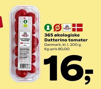 365 økologiske Datterino tomater