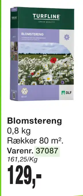 Harald Nyborg Blomstereng tilbud