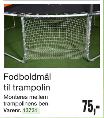 Harald Nyborg Fodboldmål til trampolin tilbud