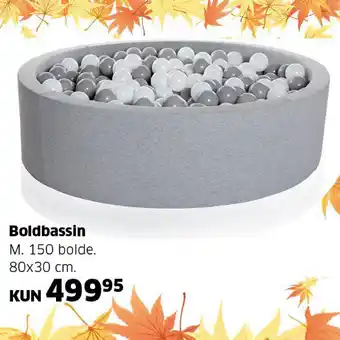 Boldbassin