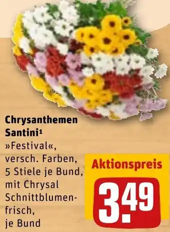 Chrysanthemen Santini