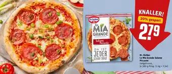 REWE DE Dr. Oetker La Mia Grande Salame Piccante 380g tilbud
