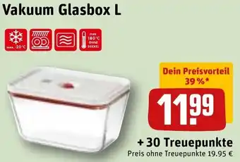Vakuum Glasbox L