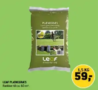 XL-BYG LEAF PLÆNEGRES tilbud