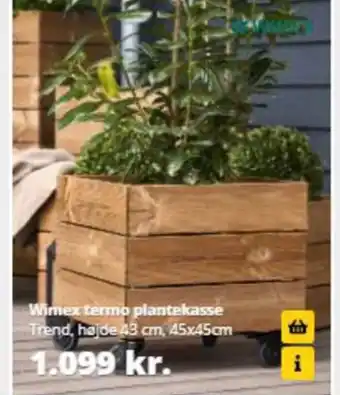 Wimex termo plantekasse