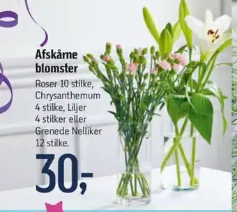 Føtex Afskårne blomster tilbud