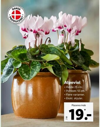 Let-Køb Alpeviol tilbud