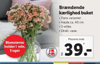 Lidl Brændende kærlighed buket tilbud