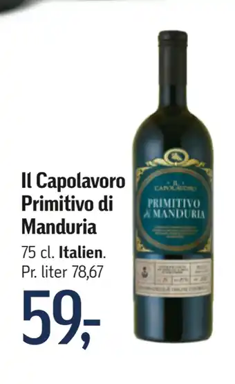Føtex Il Capolavoro Primitivo di Manduria tilbud