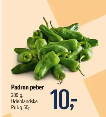 Padron peber