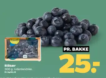 Blåbær