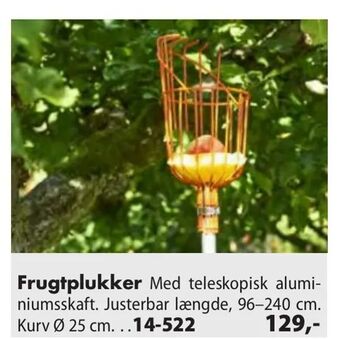 Frugtplukker