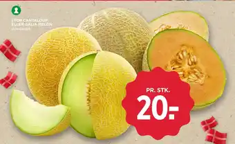MENY STOR CANTALOUP ELLER GALIA MELON tilbud