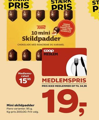 Kvickly Mini skildpadder tilbud