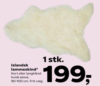 Islandsk lammeskind