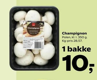 Champignon