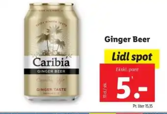Ginger Beer