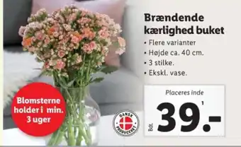 Lidl Brændende kærlighed buket tilbud