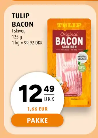 Scandinavian Park TULIP BACON tilbud