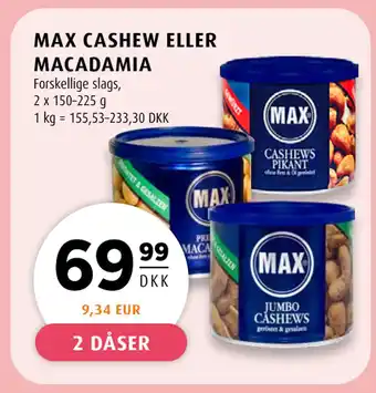 MAX CASHEW ELLER MACADAMIA