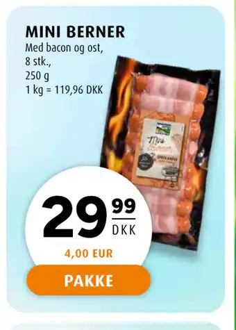 Scandinavian Park MINI BERNER tilbud