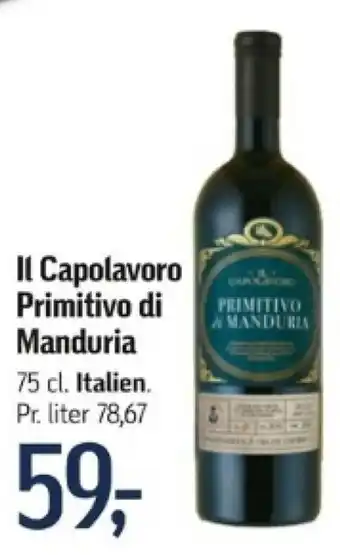 Føtex Il Capolavoro Primitivo di Manduria tilbud