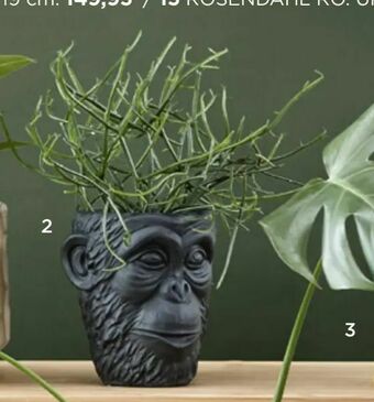 Salling Urtepotteskjuler Gorilla tilbud