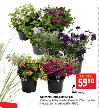 jem & fix SOMMERBLOMSTER tilbud