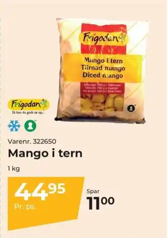 Dagrofa Food Service Mango i tern tilbud