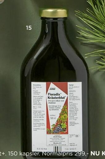 Salus Floradix Kräuterblut