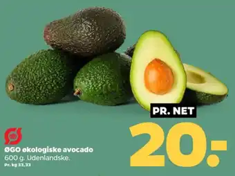 Netto Avocado tilbud