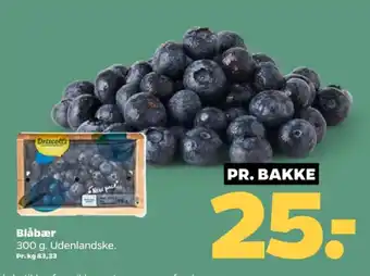 Netto Blåbær tilbud