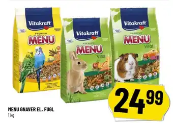 Fuglefoder