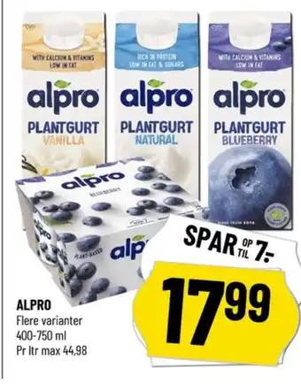 Blueberry Yoghurt