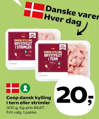 Kyllingetern