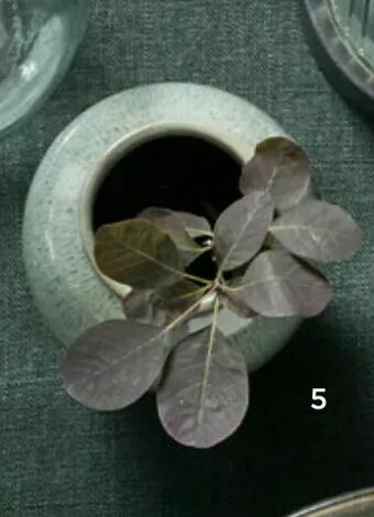 Salling Vase tilbud