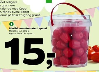 Coop 365 Mini blommetomater i spand tilbud