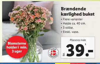 Lidl Brændende kærlighed buket tilbud