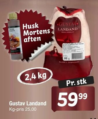 Gustav Landand