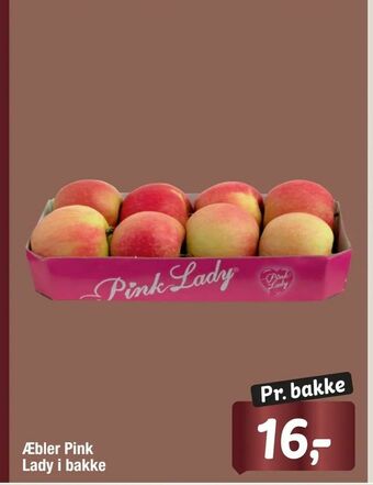Fakta Tyskland Æbler Pink Lady i bakke tilbud