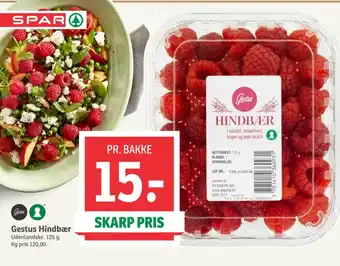 Hindbær