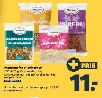 Græskarkerner