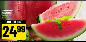 Løvbjerg Vandmelon tilbud