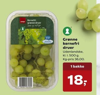 Dagli'Brugsen Grønne kernefri druer tilbud