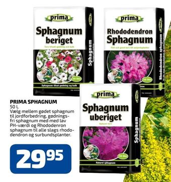 Davidsen Prima sphagnum tilbud