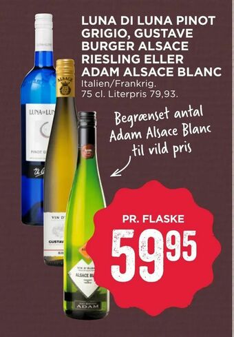 MENY Luna di luna pinot grigio, gustave burger alsace riesling eller adam alsace blanc tilbud
