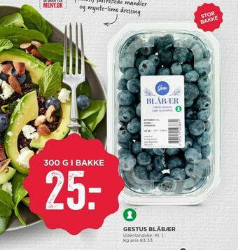 MENY Gestus blåbær tilbud