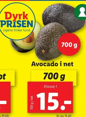 Lidl Avocado tilbud