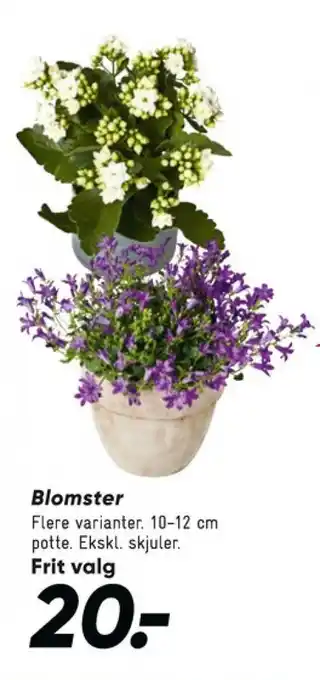 Bilka Planter tilbud