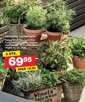 Italienske krydderurter